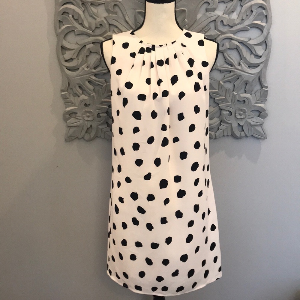 Ann Taylor Loft Size 4 Petite Dress in Black and Cream